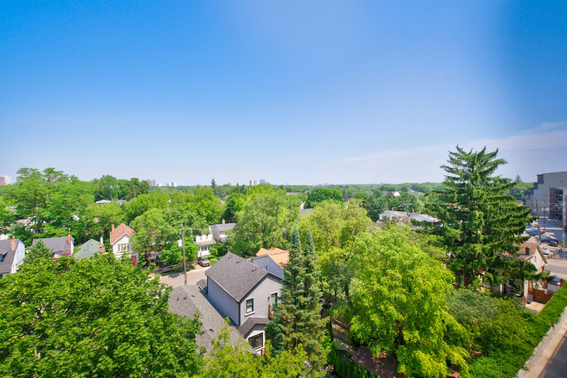 Sweeping treetop views from the suite